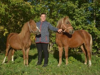 ​Социальный предприниматель из Омска подарит лошадей детской спортивной школе