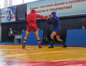 В Донецке прошли соревнования по боевому самбо