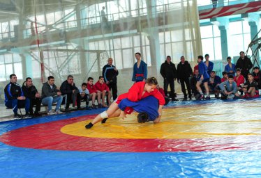 В Донецке прошел второй этап отбора самбистов на престижные соревнования в России