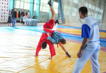 В Донецке прошли соревнования по спортивному и боевому самбо