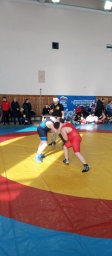 В Донецке прошло первенство Республики по вольной борьбе