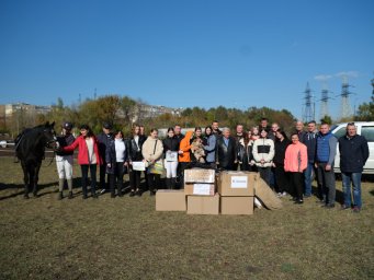 ​Федерация конного спорта России привезла двух лошадей пони