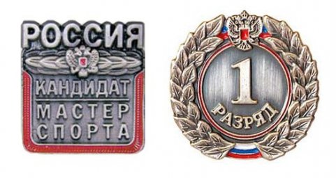Спортсменам Республики спортивные разряды