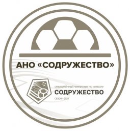 Минспорт ДНР информирует о промежуточных итогах чемпионата среди среди футбольных команд новых субъектов России