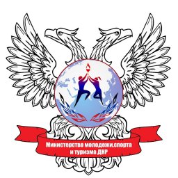 Минмолспорттуризма ДНР изданы приказы О государственной аккредитации Региональных отделений по волейболу и флорболу