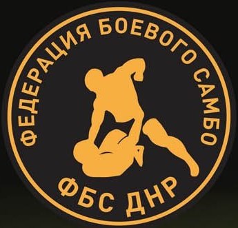 Открытый турнир по боевому самбо среди силовых структур ДНР,посвящённый  "Дню освобождения Донбасса"
