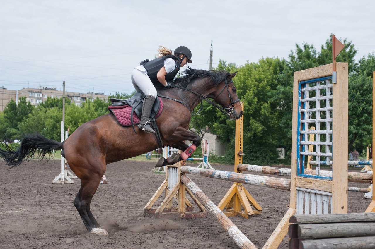 В Донецке состоялся Чемпионат и Первенство по конному спорту