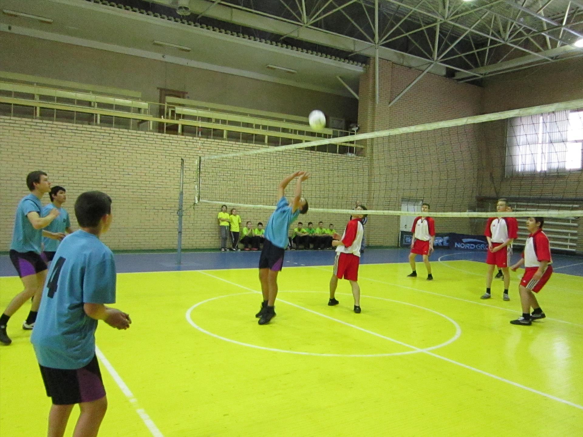 Шестьдесят воспитанников специальных школ-интернатов Донбасса встретились на первенстве по волейболу в Донецке