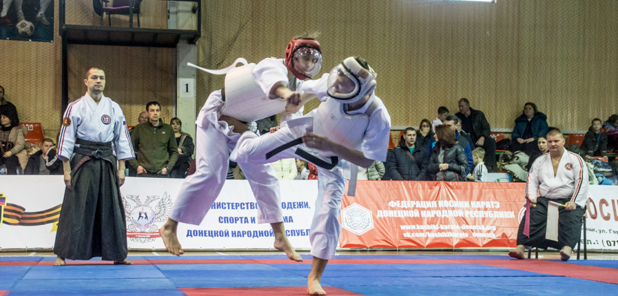 В столице ДНР прошел Международный турнир по косики каратэ