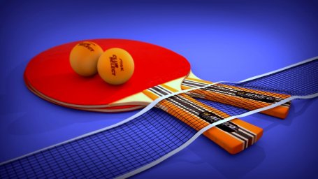 Спортсмены по настольному теннису завоевали 4 награды в Ростовской области