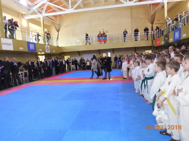 Порядка четырехсот каратистов Донбасса разыграли 80 комплектов медалей на турнире «Тигры Татами»