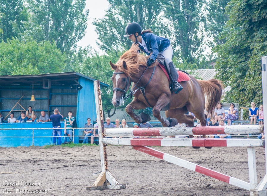 В Донецке прошел чемпионат ДНР по конному спорту